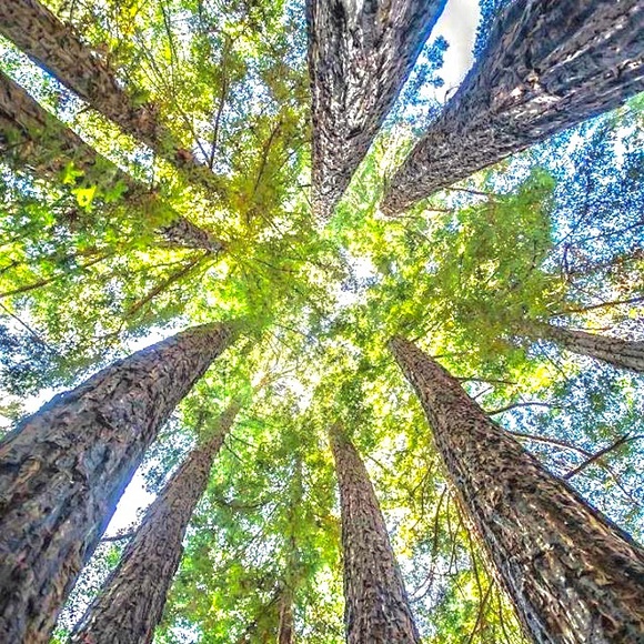 Meet your Posher, Gilberto - Picture 1 of 1